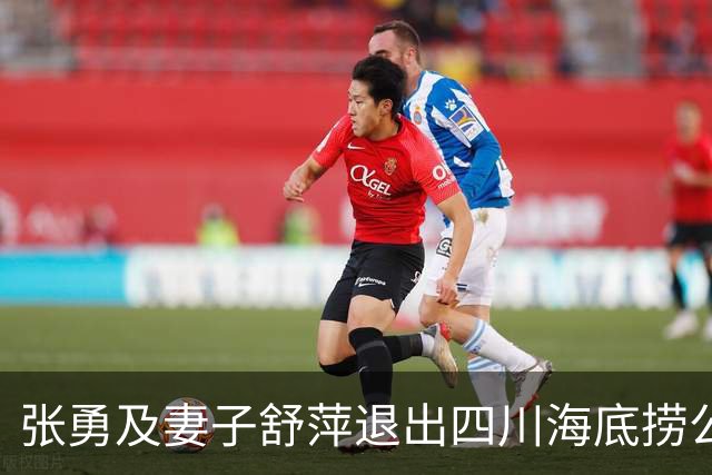 张勇及妻子舒萍退出四川海底捞公司董事会，控制权未变